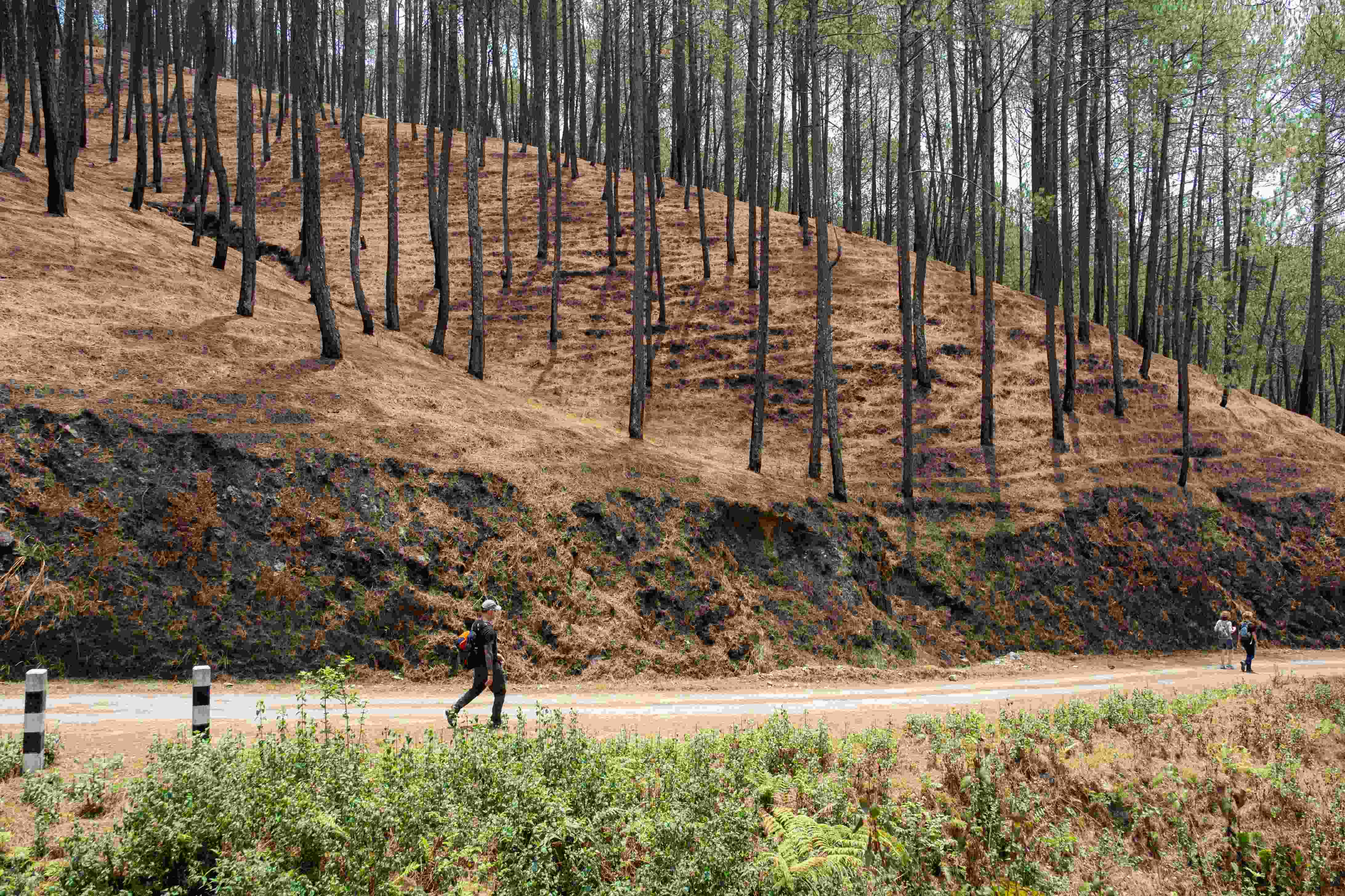 Heritage & Nature Activities